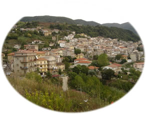 Falerna town properties for sale